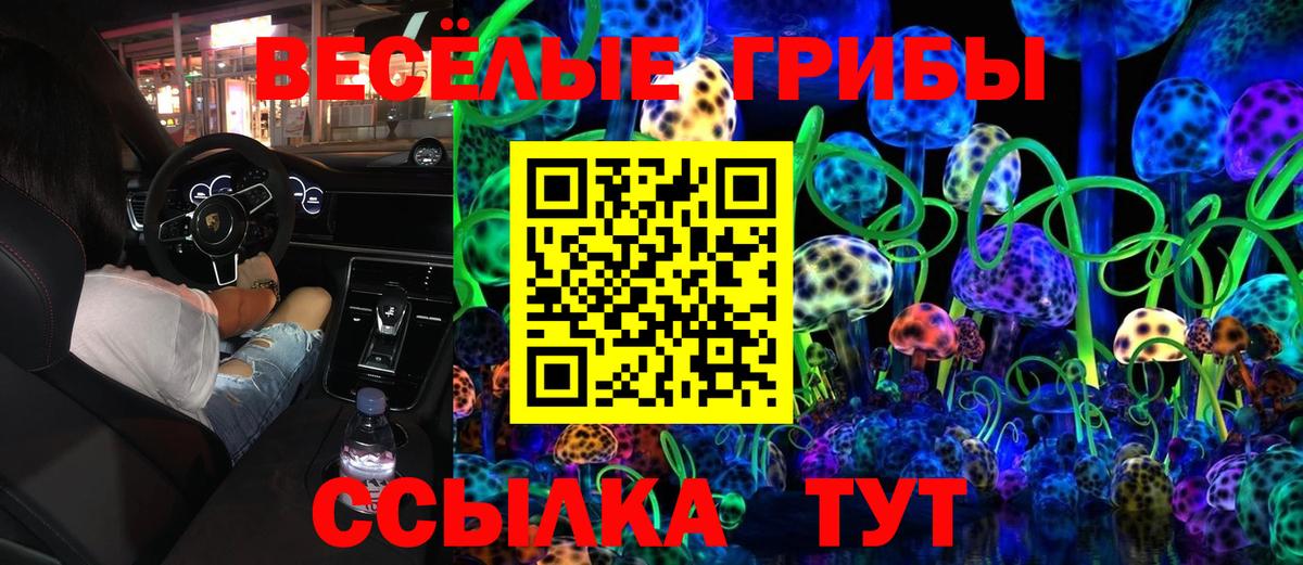 Чебаркуль  Галлюциногенные грибы мицелий  Галлюциногенные грибы Cubensis  Вход с VPN 