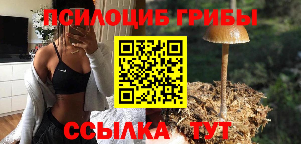 Псилоцибиновые грибы Magic Shrooms Чебаркуль